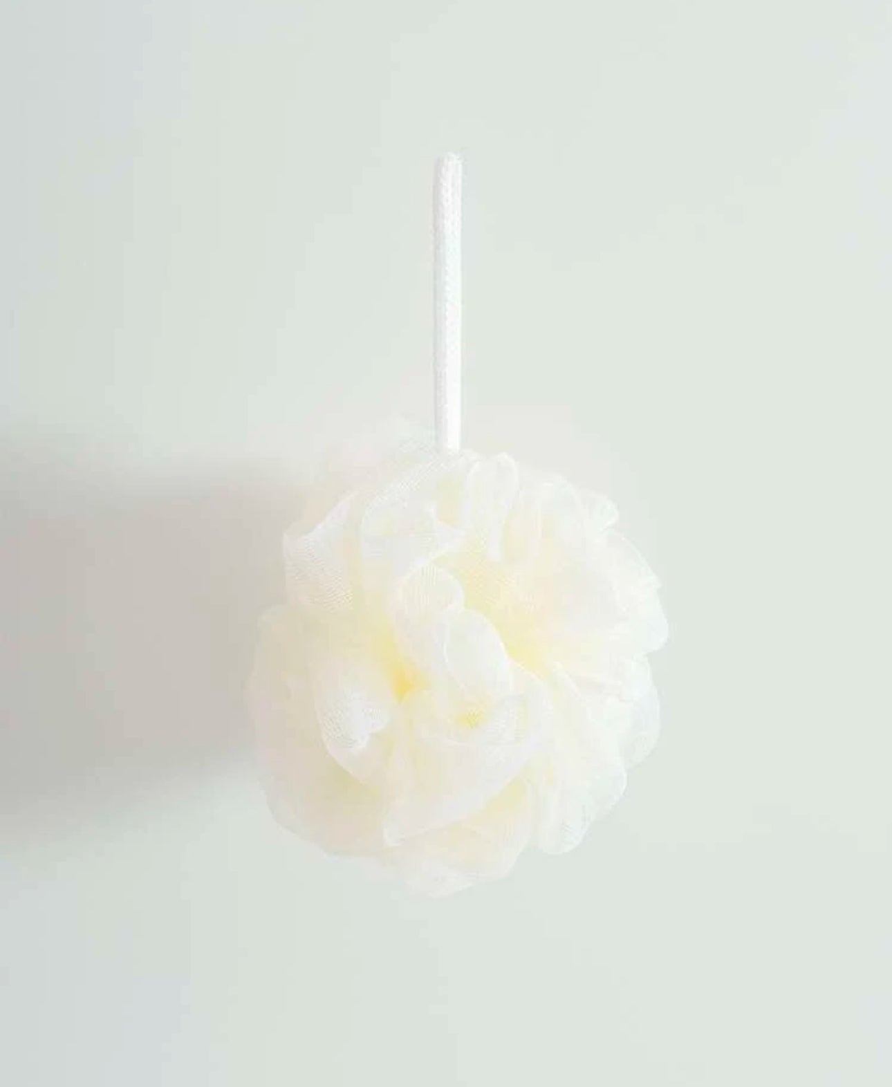 Fleur de douche